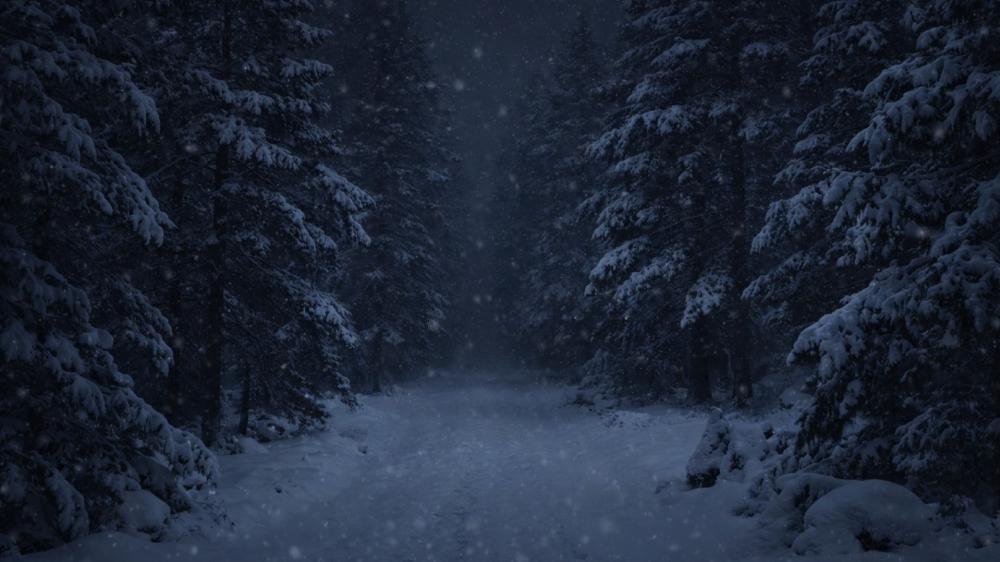 Moonlit Snowfall Through the Silent Pine Forest wallpaper