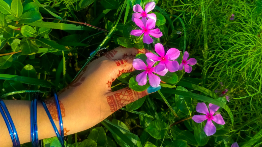 Pink Blooms and Mehndi Grace wallpaper