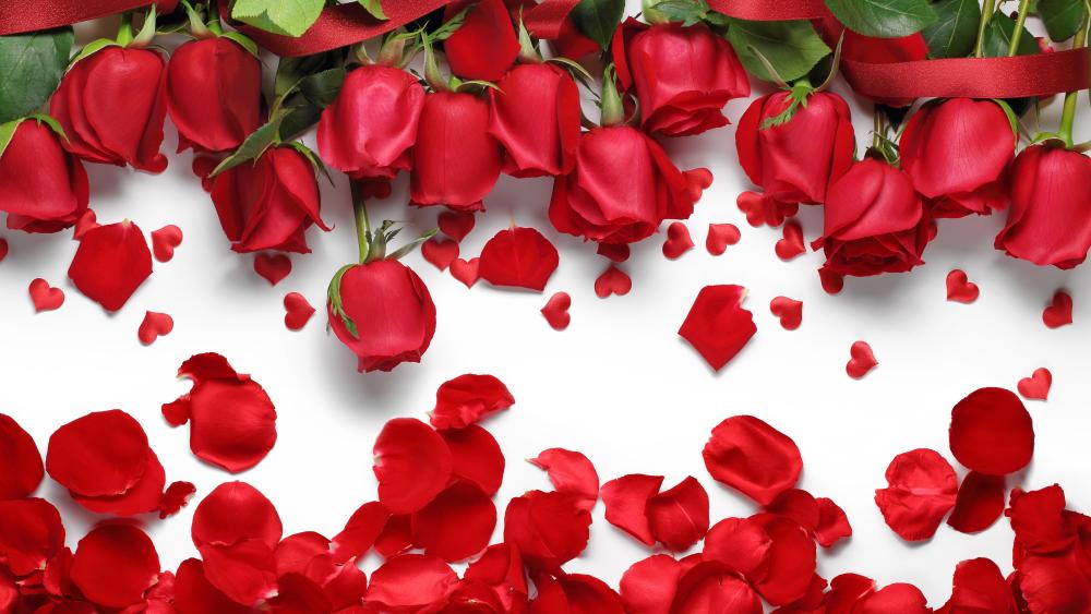 Elegant Red Roses and Falling Petals wallpaper