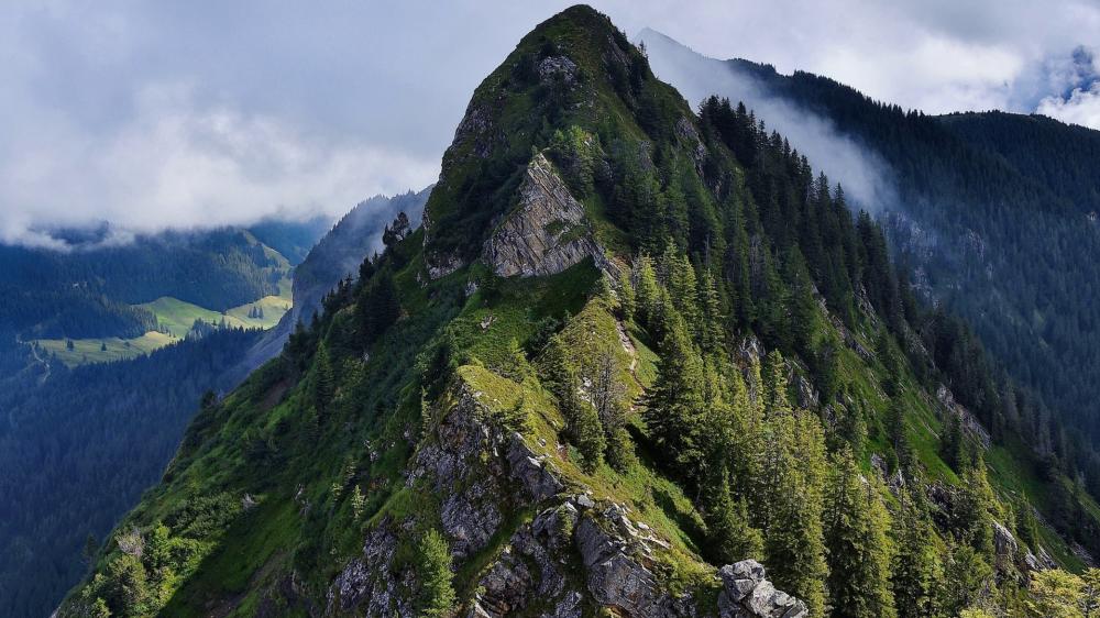 Misty Alpine Ridge wallpaper