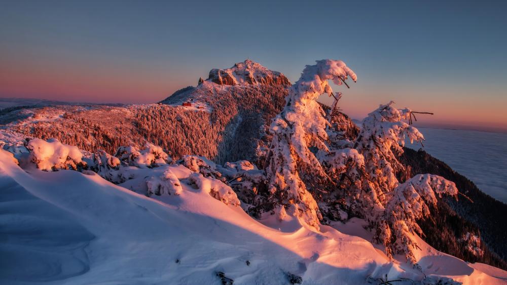 Snowy Dawn Over Mountain Ridge wallpaper