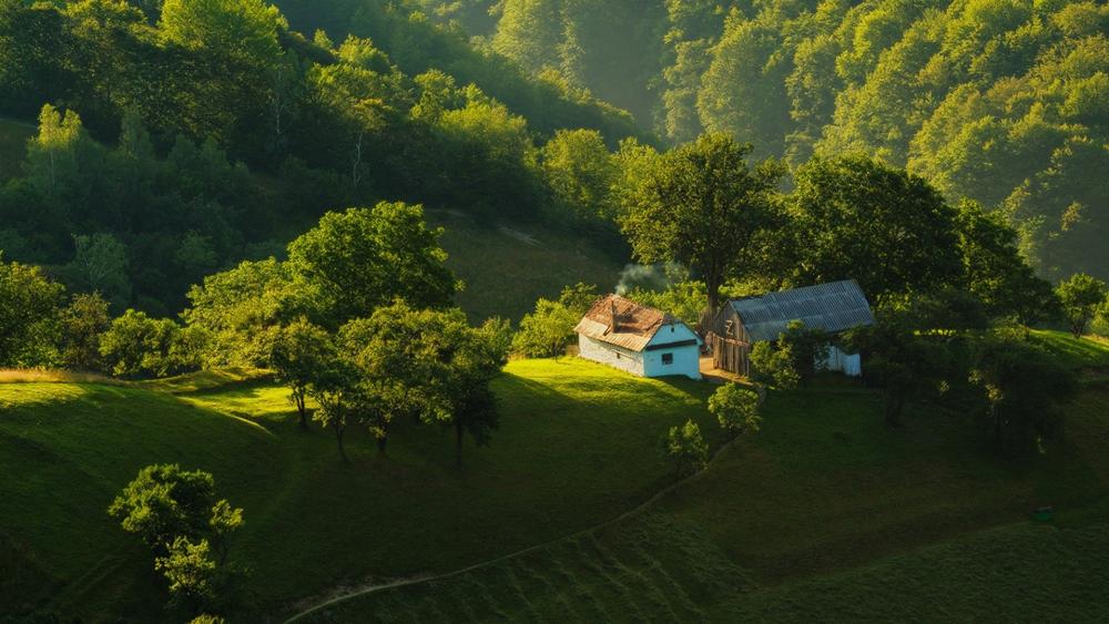 Sunlit Cottage in Forested Hills wallpaper