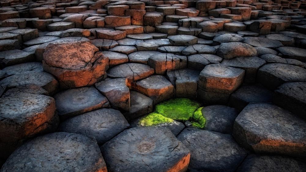 Basalt Giants of the Causeway wallpaper