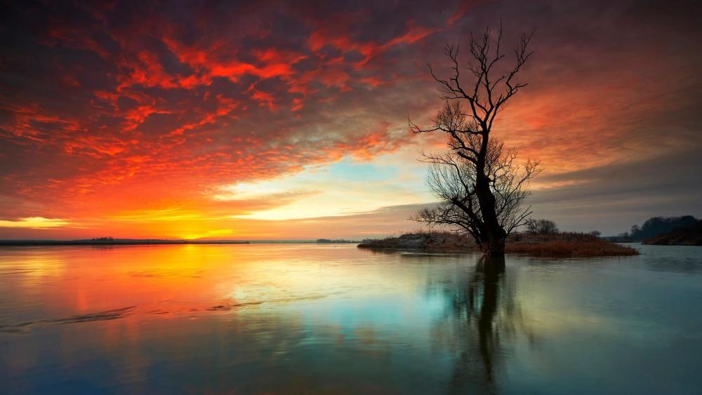 Fiery Dawn Over Quiet Lake wallpaper