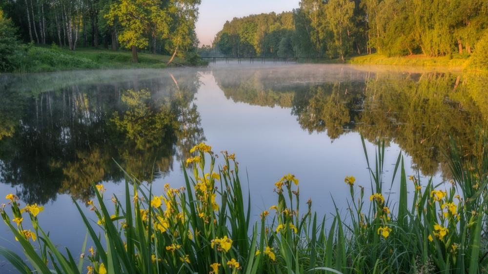 Misty Lake Dawn Reflection wallpaper