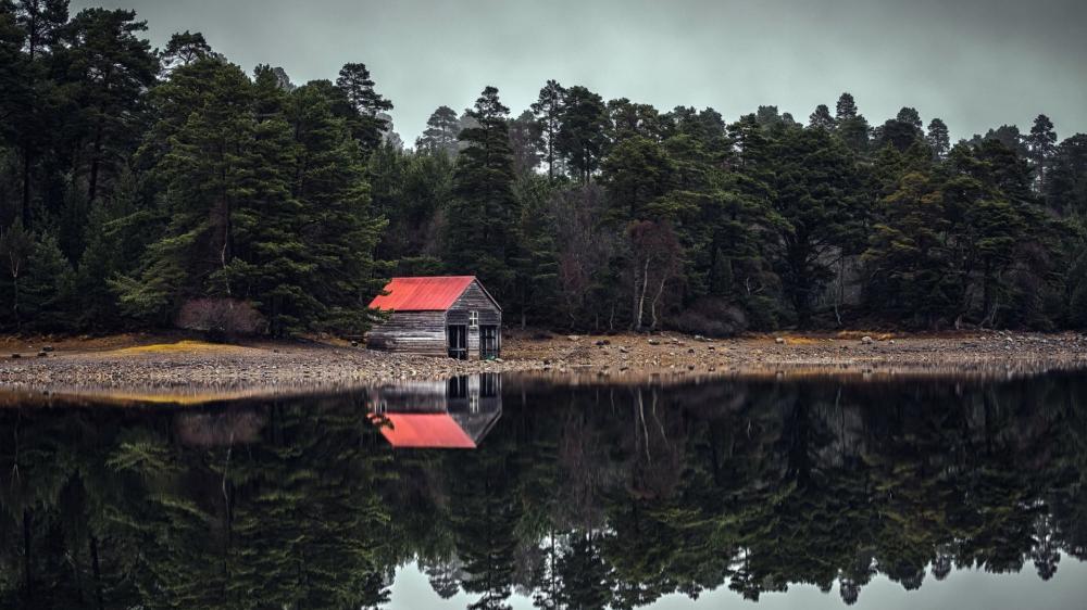 Loch Vaa Forest Reflection wallpaper