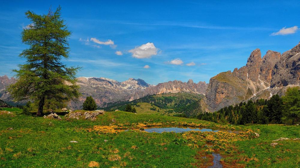 Dolomite Meadow Serenity wallpaper