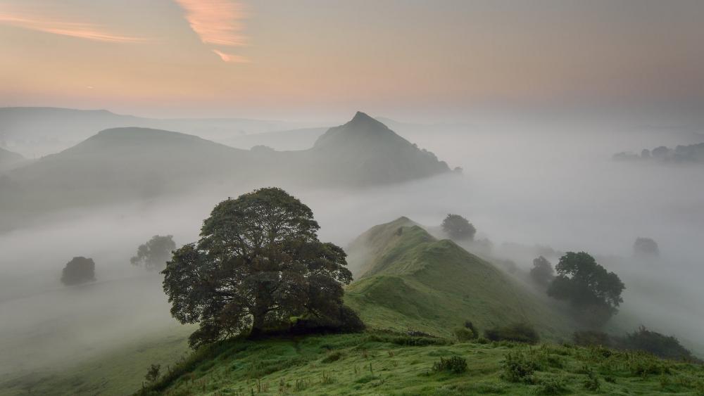 Misty Sunrise Over Parkhouse Hill wallpaper