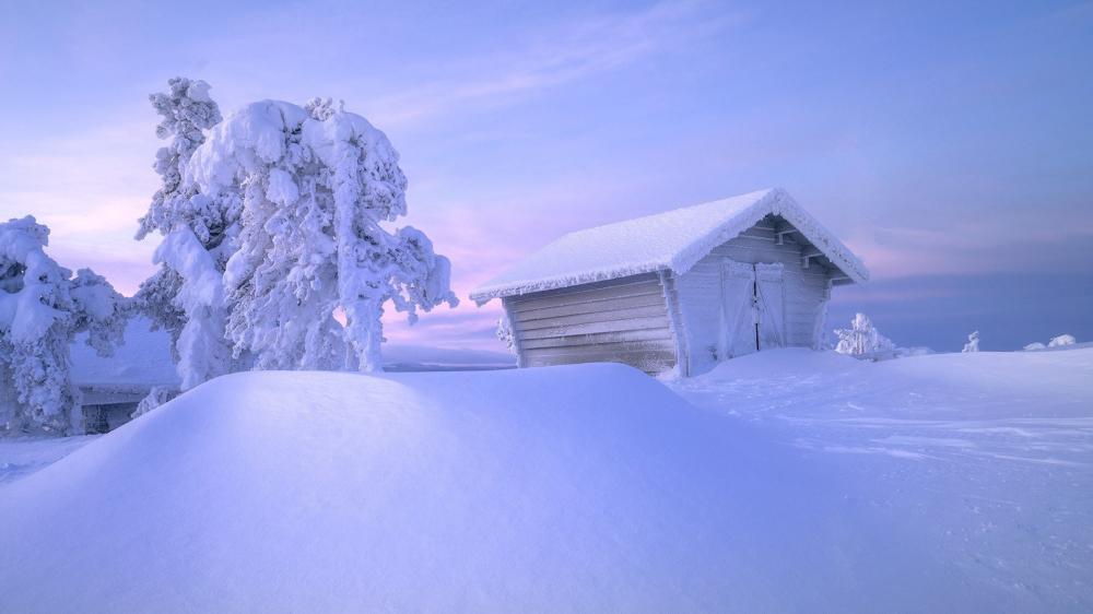 Frosty Cabin in a Silent Winter Dawn wallpaper