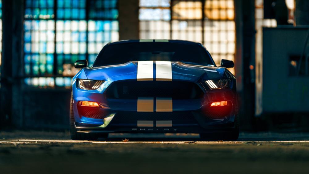 Ford Mustang Shelby GT350 Power wallpaper