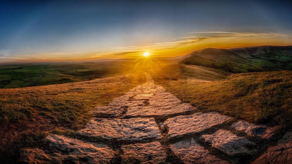 Golden Pathway to the Horizon wallpaper