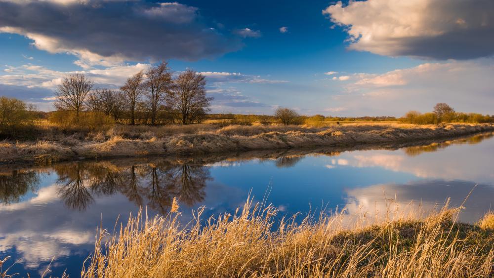 Golden River Reflection wallpaper