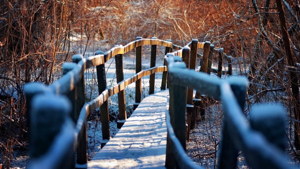 Winter Wonderland Footbridge in a Frosty Forest wallpaper