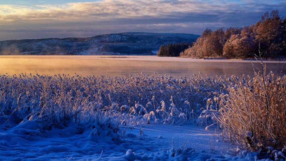 Tranquil Winter Landscape at Frozen Lake wallpaper