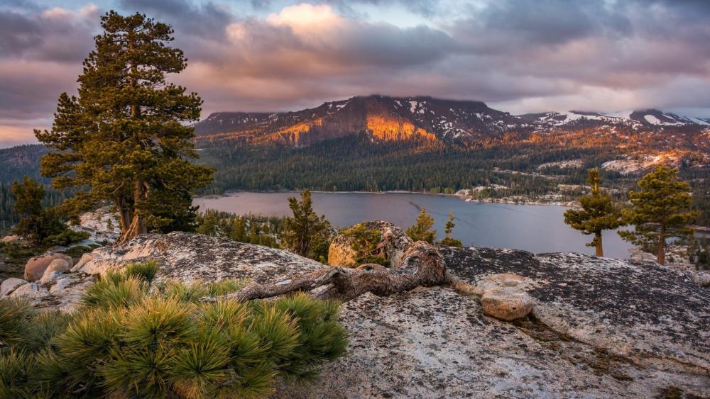 Golden Light Over Silver Lake wallpaper