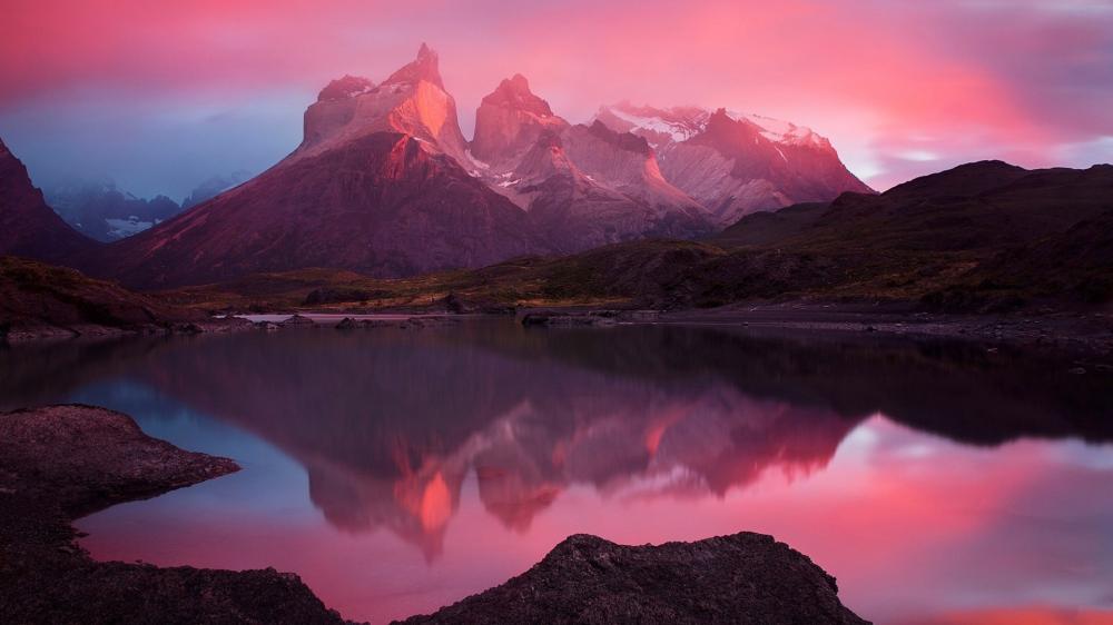 Pink Dawn Reflections in Torres del Paine wallpaper