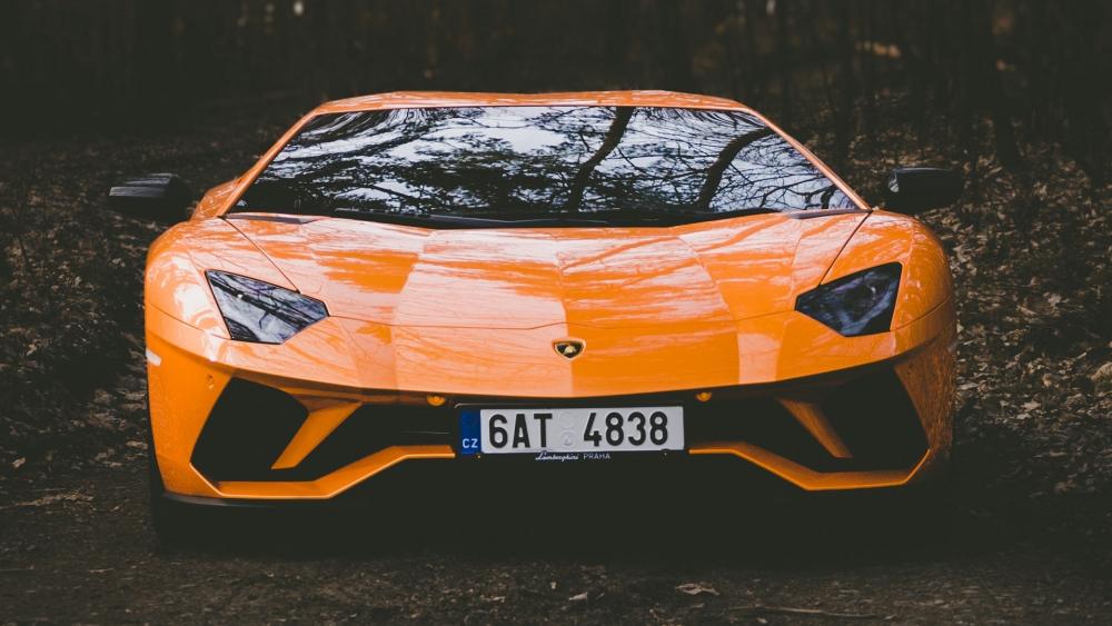 Orange Lamborghini Aventador in Forest Shadows wallpaper
