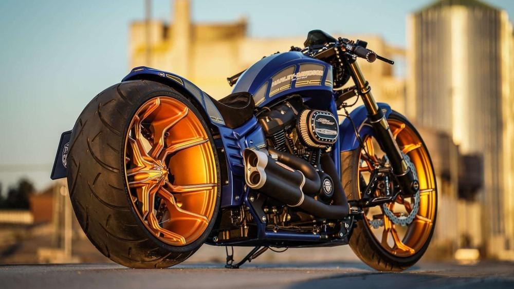Harley Davidson Softail Breakout in Golden City Light wallpaper