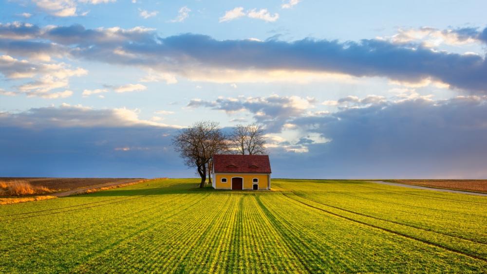 Idyllic Rural House in Golden Meadow wallpaper