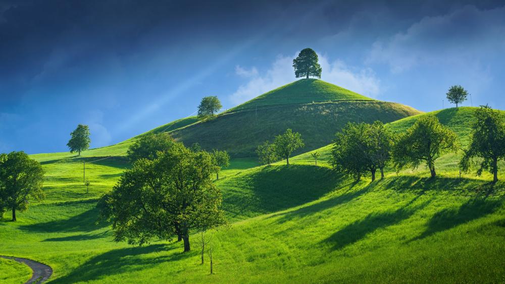 Sunlit Green Hills wallpaper