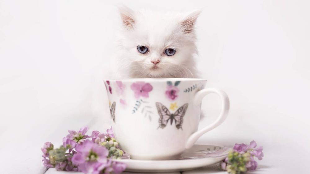 Fluffy White Kitten in Floral Teacup wallpaper