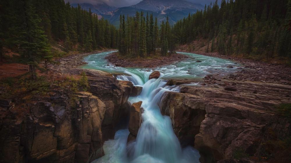 Sunwapta Falls in Jasper Wilderness wallpaper