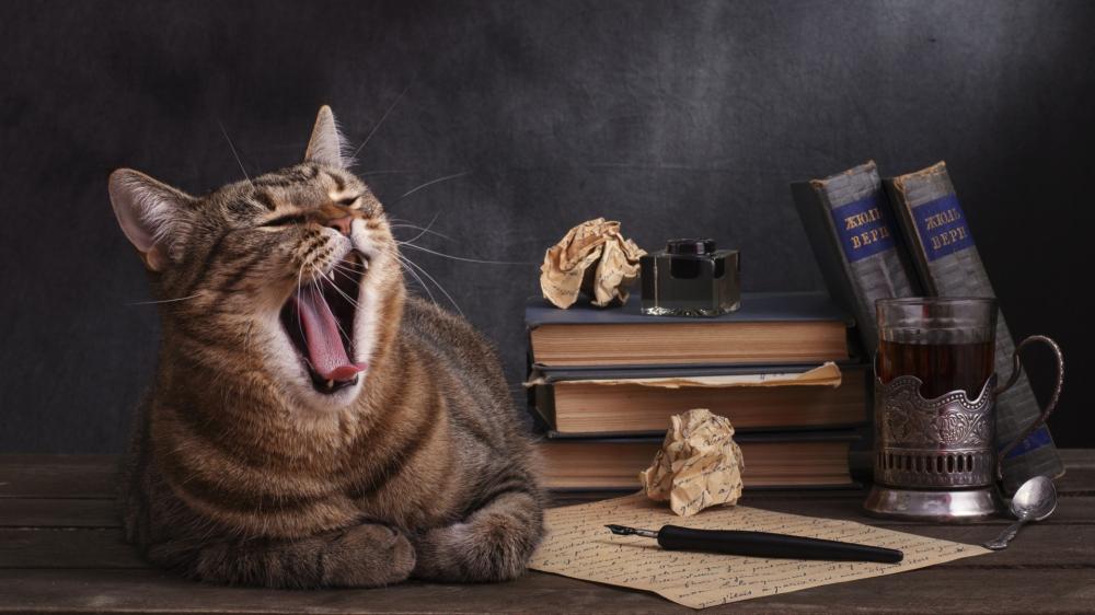 Sleepy Tabby Cat on Vintage Study Desk wallpaper