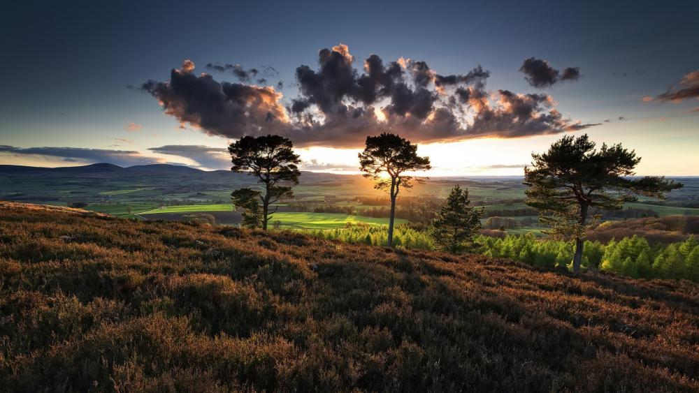 Sunset Over Rolling Hills wallpaper