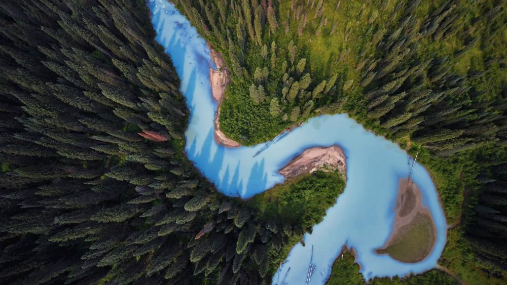 Winding River Through Remote Forest wallpaper