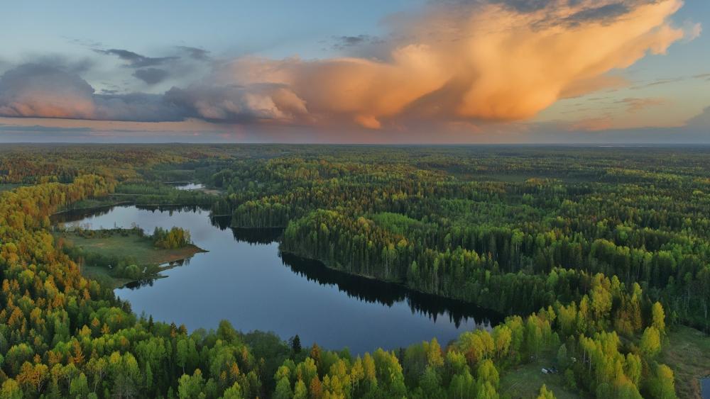 Serene Forest Lake at Sunset in Tver Oblast wallpaper