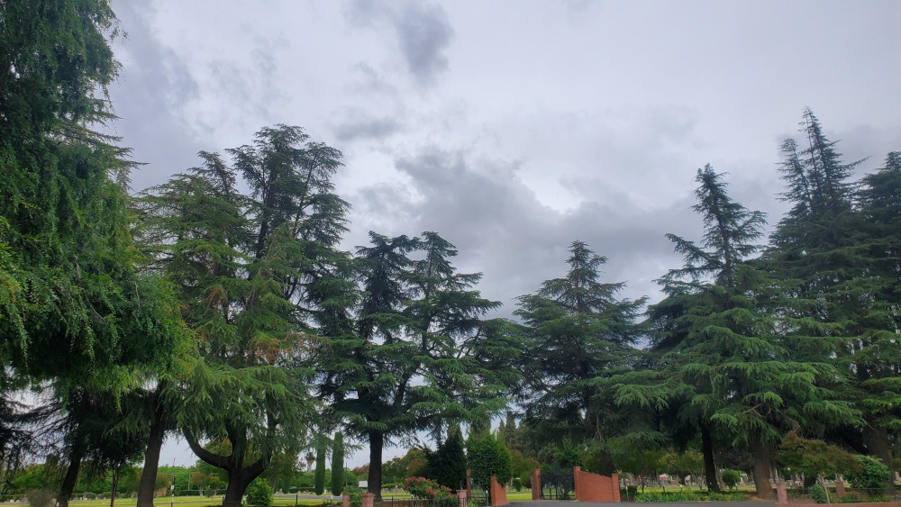 Cemetery wallpaper