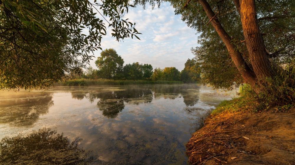 Tranquil Forest River Reflection wallpaper