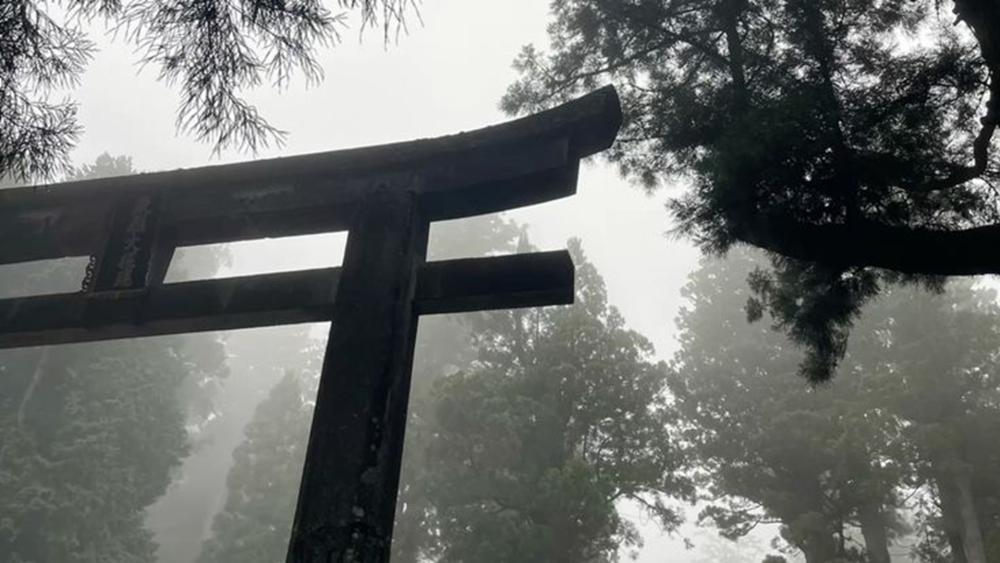 Misty Torii Gate in Silent Nikko Forest wallpaper