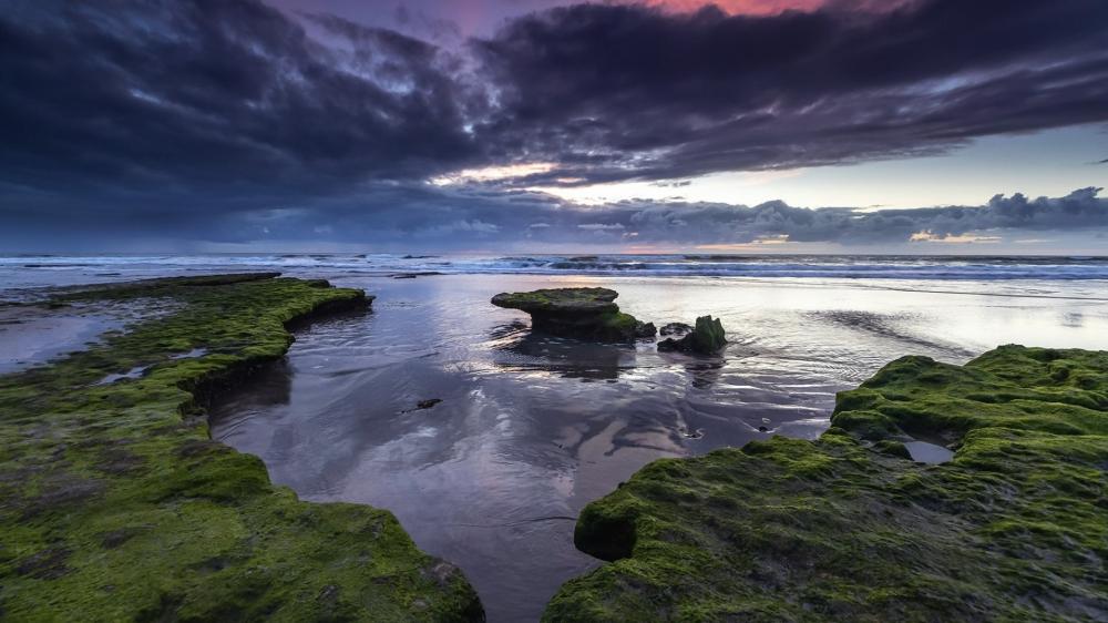 Mossy Tidepool at Twilight wallpaper
