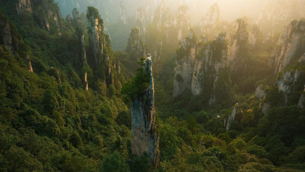 Mystic Stone Peaks of Zhangjiajie wallpaper