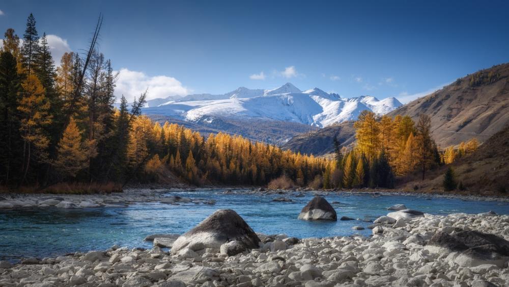 Autumn Serenity on the Katun River wallpaper
