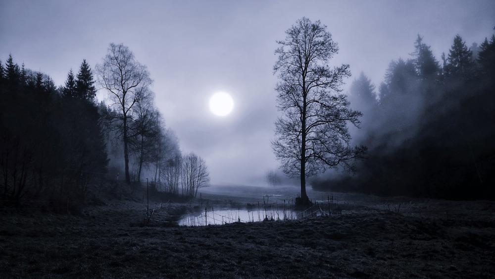 Moonlit Mist Over Silent Trees wallpaper