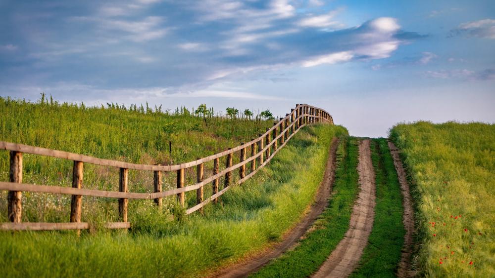 Peaceful Meadow Pathway Across Rolling Hills wallpaper