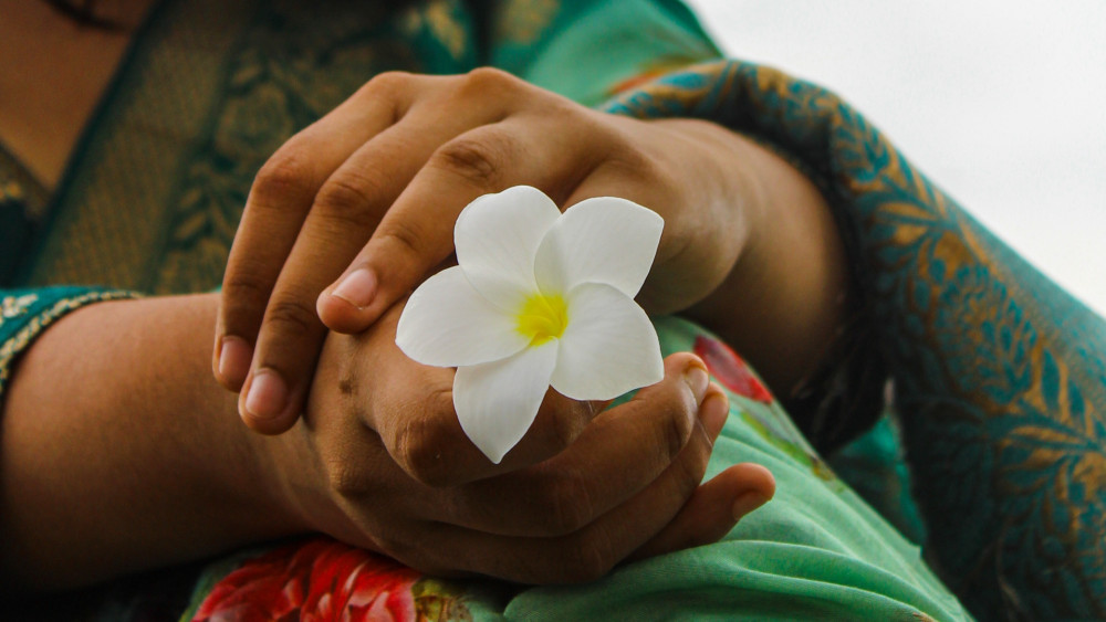Gentle Frangipani in Caring Hands wallpaper
