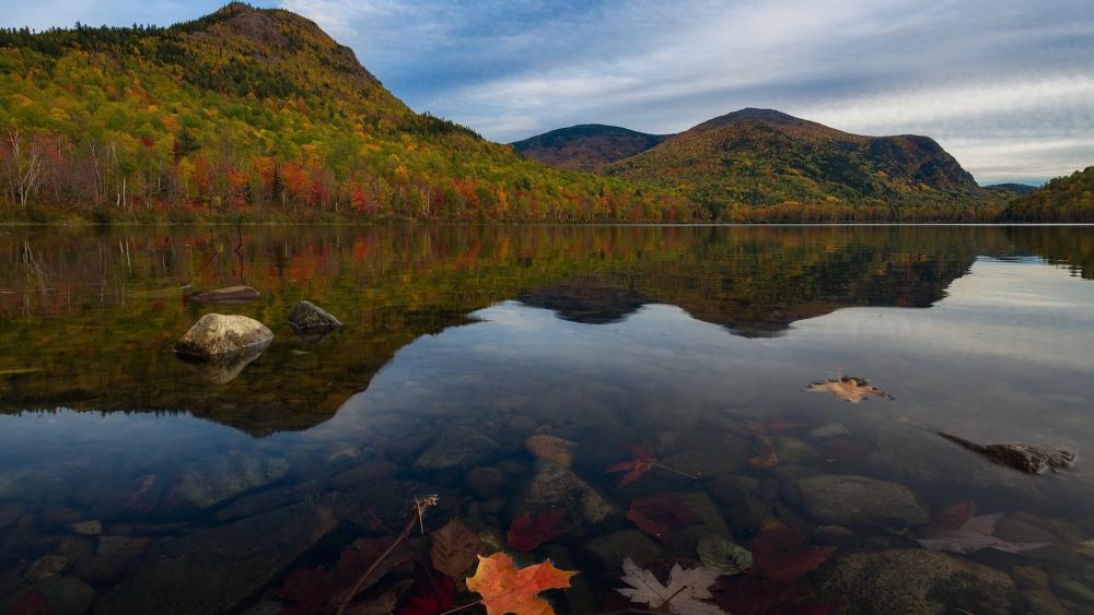 Autumn Lake Mirror Serenity wallpaper