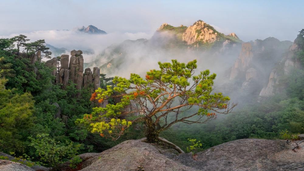 Misty Peaks of Dobongsan in Seoul wallpaper