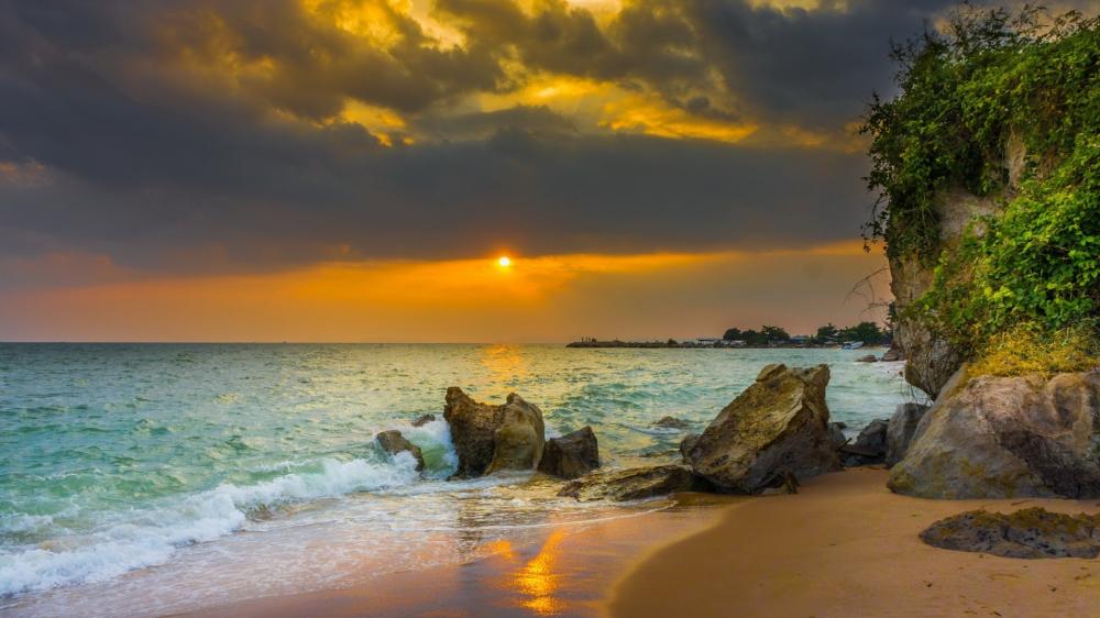 Golden Tropical Sunset by the Shore wallpaper