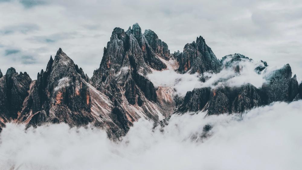 Cloud Sea Over Cadini Peaks wallpaper