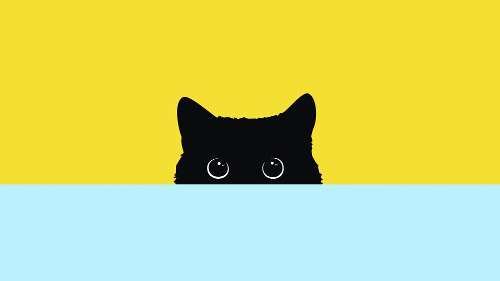 Peekaboo Black Cat Surprise wallpaper