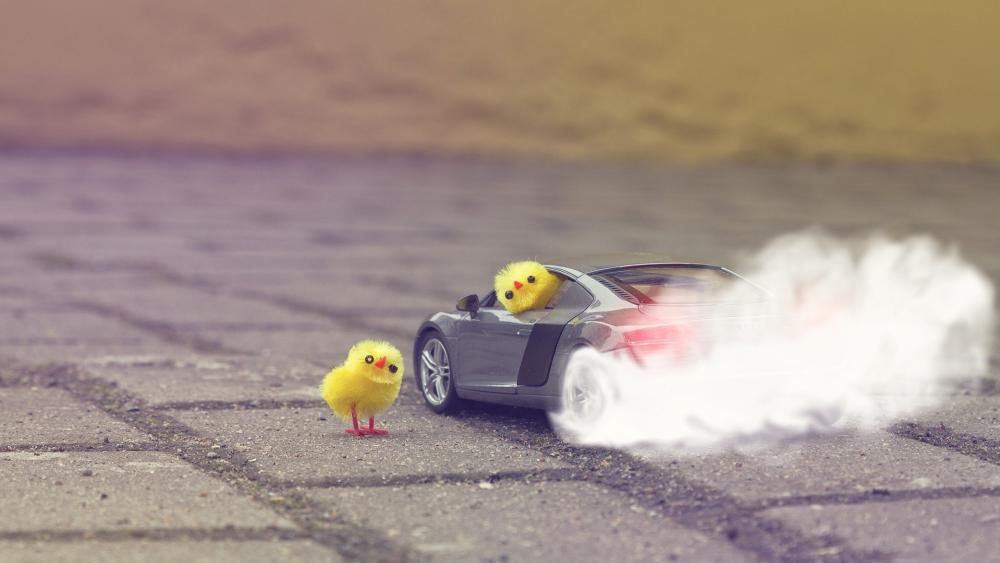 Funny Chick Car Adventures wallpaper