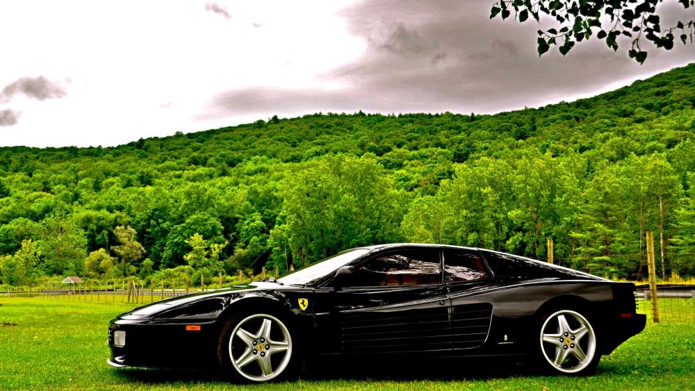 Midnight Ferrari Black GT on Emerald Meadow wallpaper