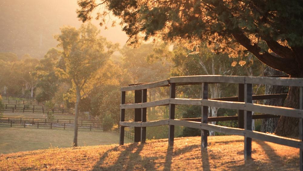 Golden Hour Countryside Fence wallpaper