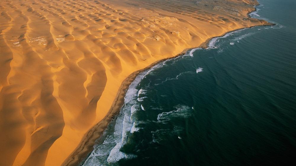 Golden Dunes Meet Azure Waves in Tranquil Harmony wallpaper