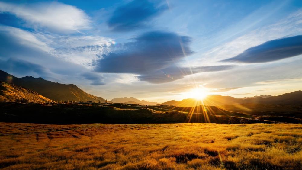 Golden Fields of Queenstown wallpaper