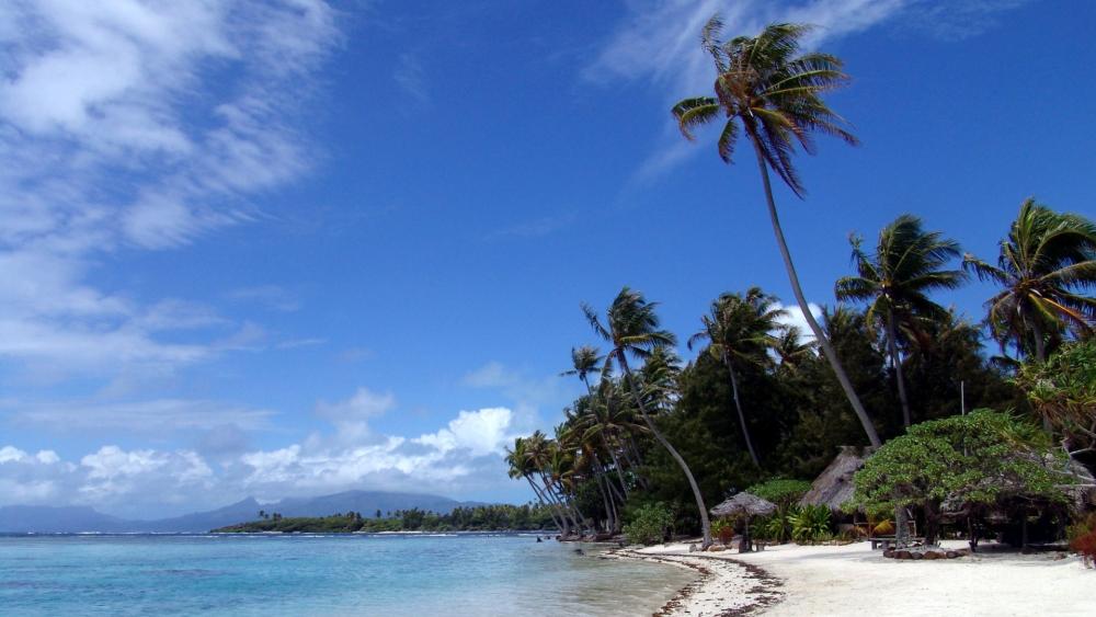 Tropical Paradise Beach Escape wallpaper